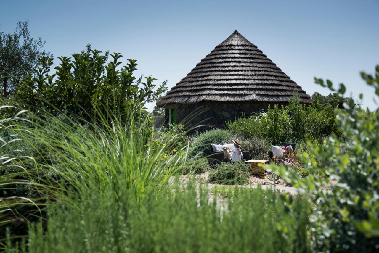 Is Cheas Wine Farm Boutique Hotel San Vero Milis Exterior photo