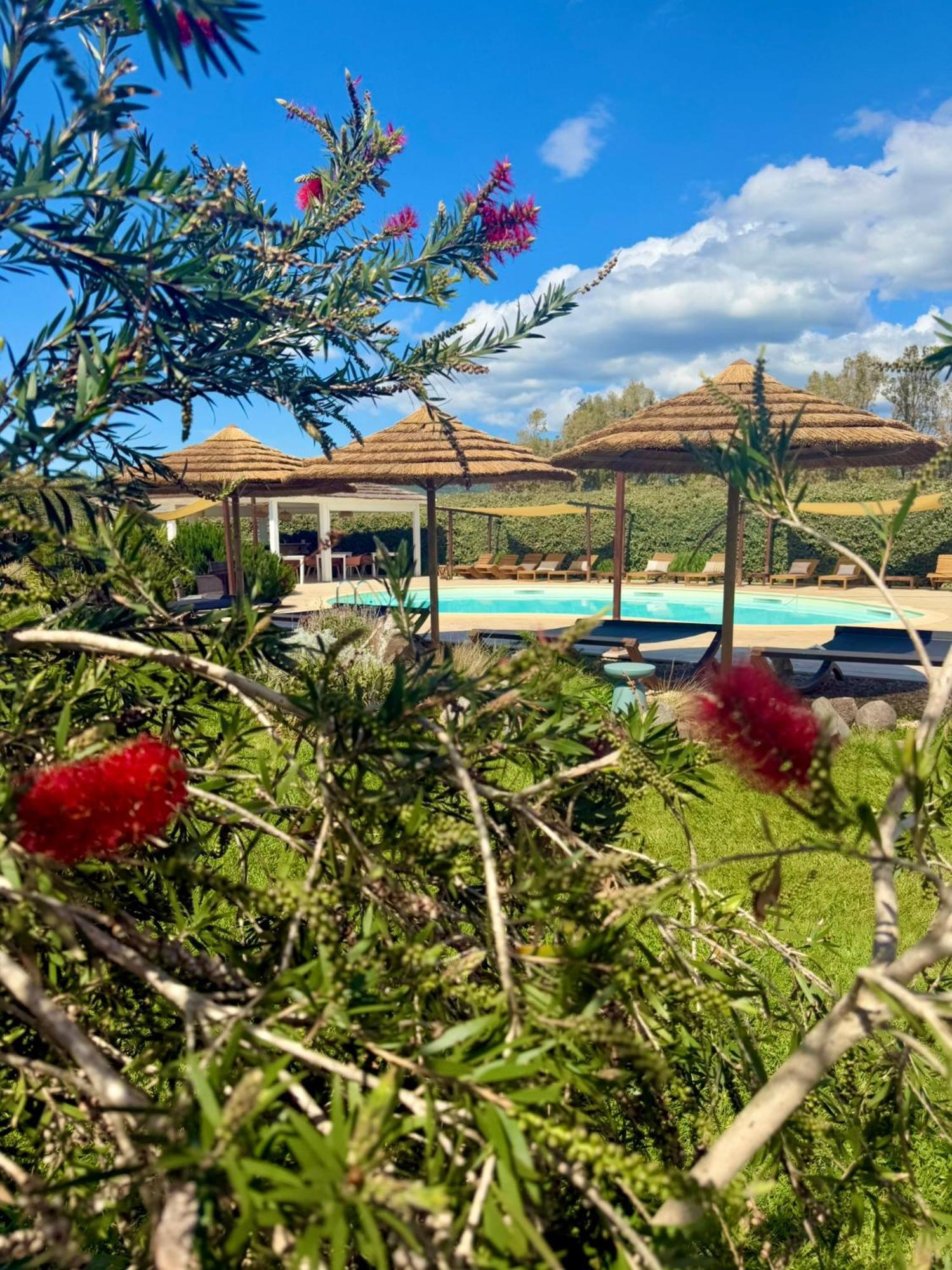 Is Cheas Wine Farm Boutique Hotel San Vero Milis Exterior photo
